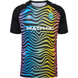 hummel SV Werder Bremen Torwarttrikot 2024/25 7995 - multi colour S