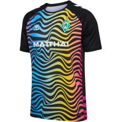 hummel SV Werder Bremen Torwarttrikot 2024/25 7995 - multi colour XXL