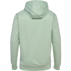 hummel SV Werder Bremen Travel Hoodie 2024/25 6280 - silt...