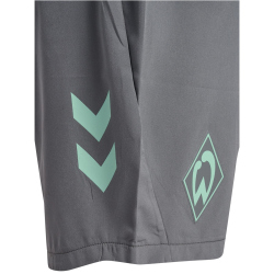 hummel SV Werder Bremen Pro Trainingsshorts 2024/25 1245...