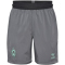 hummel SV Werder Bremen Pro Trainingsshorts 2024/25 1245 - quiet shade wo sponsor S