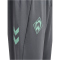 hummel SV Werder Bremen Pro Trainingshose 2024/25 1245 - quiet shade wo sponsor S