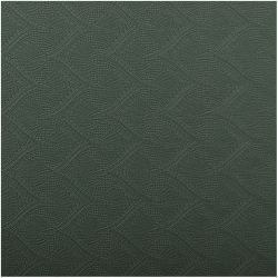 TRENDY SPORT TPE Ecoline Yogamatte green/bright green