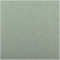 TRENDY SPORT TPE Ecoline Yogamatte green/bright green