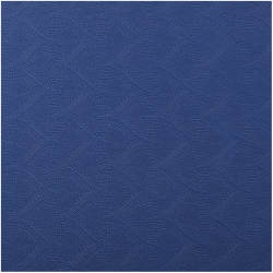 TRENDY SPORT TPE Ecoline Yogamatte blue/bright blue