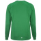 CRAFT Rush 2.0 langarm Trainingsshirt Herren 651000 - team green XS