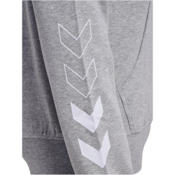 hummel hmlELEMENTAL Hoodie 2006 - grey melange S