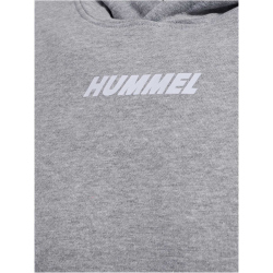 hummel hmlELEMENTAL Hoodie 2006 - grey melange S