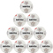 10er Ballpaket DERBYSTAR Eerste Divisie Brillant APS Fußball Spielball weiss silber 5