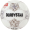 10er Ballpaket DERBYSTAR Eerste Divisie Brillant APS Fußball Spielball weiss silber 5