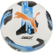 10er Ballpaket PUMA Orbita 5 Fusion 290g Leicht-Fußball