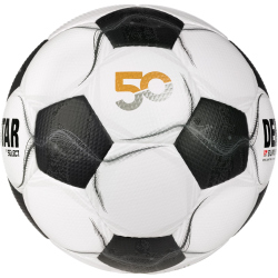 10er Ballpaket DERBYSTAR 2. Bundesliga Brillant Classic...