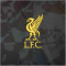 NIKE FC Liverpool Windrunner Ausweich Anorak Herren