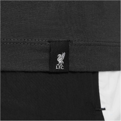 NIKE FC Liverpool Swoosh T-Shirt Herren 070 - dk smoke...