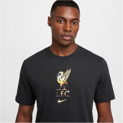 NIKE FC Liverpool Swoosh T-Shirt Herren 070 - dk smoke...