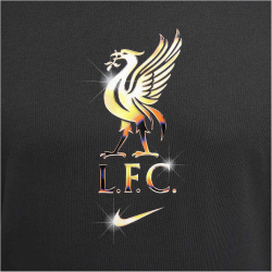 NIKE FC Liverpool Swoosh T-Shirt Herren 070 - dk smoke...
