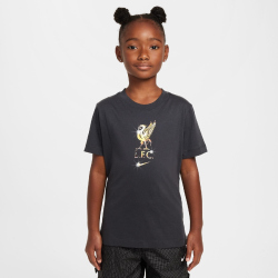 NIKE FC Liverpool Crest T-Shirt Kinder 070 - dk smoke...