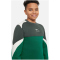 NIKE Air Crew Sweatshirt Kinder 365 - malachite/vintage green/sail/sail M (137-147 cm)