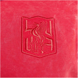NIKE FC Liverpool French Terry Hoodie Herren 679 -...