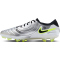 NIKE Tiempo Legend 10 Elite FG Fußballschuhe 001 - metallic silver/black-volt 42.5