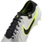 NIKE Tiempo Legend 10 Elite FG Fußballschuhe 001 - metallic silver/black-volt 42.5