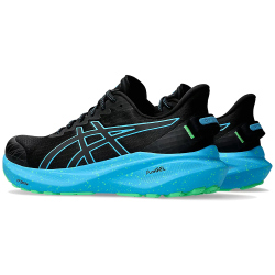 ASICS GT-2000 13 Lite Show Laufschuhe Herren