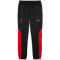 PUMA AC Mailand ftblNRGY+ Trainingshose Herren