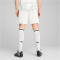PUMA Portugal Shorts 2025 Herren