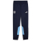 PUMA Manchester City FC ftblArchive Trainingshose Herren