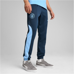 PUMA Manchester City FC ftblNRGY+ Trainingshose Herren