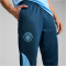 PUMA Manchester City FC ftblNRGY+ Trainingshose Herren