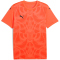 PUMA teamULTIMATE Trikot Herren