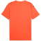 PUMA teamULTIMATE Trikot Herren