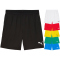 PUMA teamCUP Shorts Herren