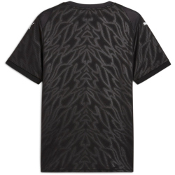 PUMA teamCUP Trikot Herren