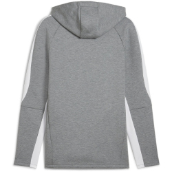 PUMA teamEvostripe Hoodie Herren