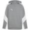 PUMA teamEvostripe Hoodie Herren