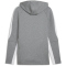 PUMA teamEvostripe Hoodie Herren