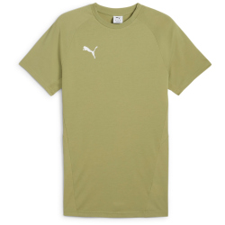 PUMA teamEvostripe T-Shirt Herren