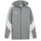 PUMA teamEvostripe Kapuzenjacke Herren