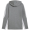PUMA teamEvostripe Kapuzenjacke Herren