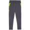 PUMA IndividualCUP Trainingshose Herren