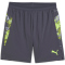 PUMA IndividualCUP Shorts Herren