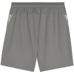 PUMA teamCUP Trainingsshorts Herren