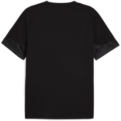 PUMA teamCUP Trainingsshirt Herren