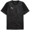PUMA teamCUP Trainingsshirt Herren