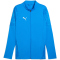 PUMA teamCUP Trainingsjacke Herren