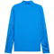 PUMA teamCUP 1/4-Zip Trainings-Top Herren