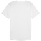 PUMA Run Velocity Triblend Laufshirt Herren