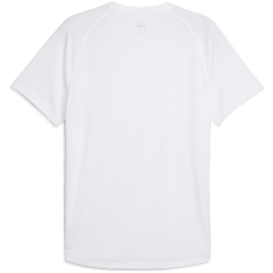 PUMA Run Velocity Polyester Laufshirt Herren